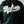 Load image into Gallery viewer, FLY GEENIUS X VANSON | BOMBER JACKET | BRONX - BLACK